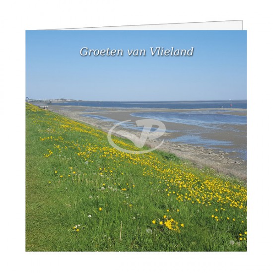 Wenskaart Waddendijk Vlieland in bloei