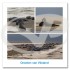 Ansichtkaart 15x15 Zeehonden Vlieland